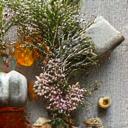 Assortment of dried herbs and tinctures in glass jars
