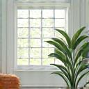 Environmental health icon with a clean home setting
